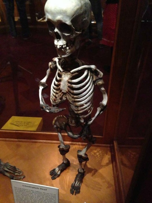 This Museum Is Like A Nightmare Come To Life (16 pics)
