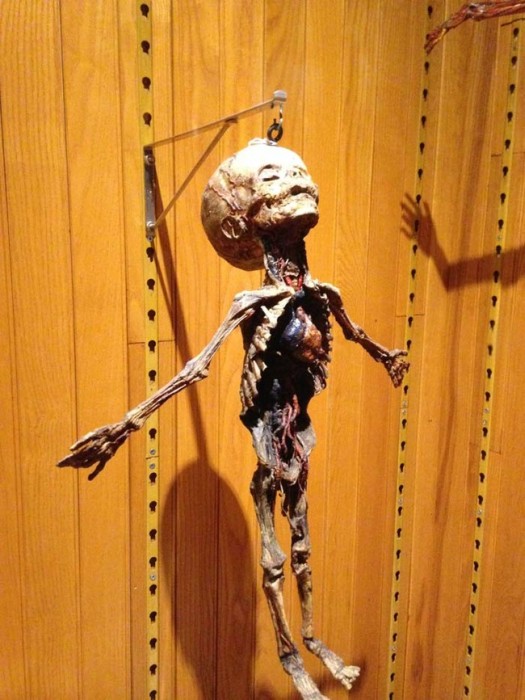 This Museum Is Like A Nightmare Come To Life (16 pics)