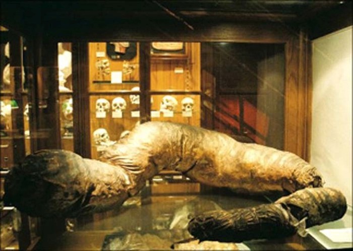 This Museum Is Like A Nightmare Come To Life (16 pics)