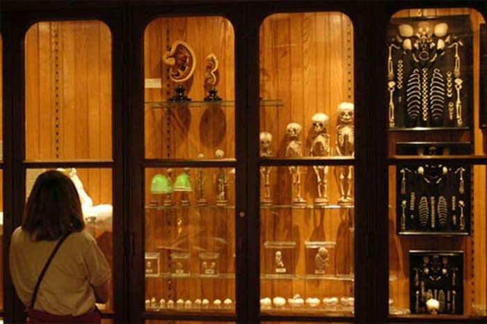 This Museum Is Like A Nightmare Come To Life (16 pics)