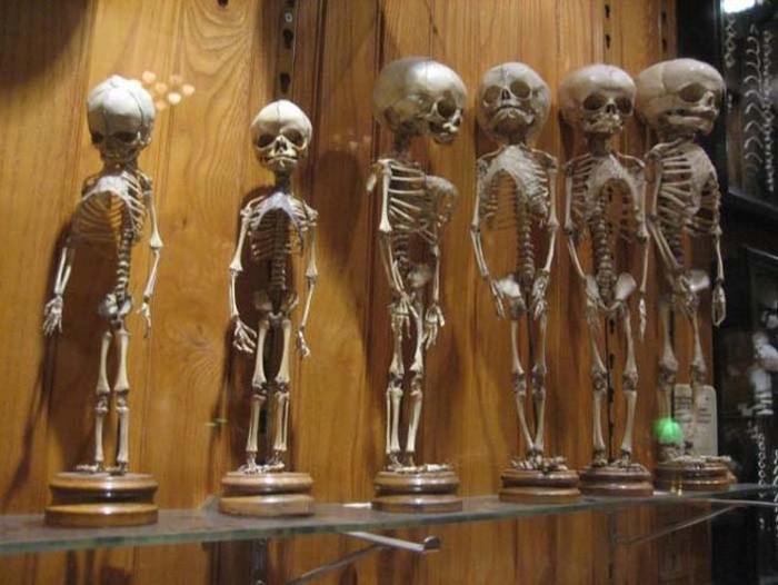 This Museum Is Like A Nightmare Come To Life (16 pics)