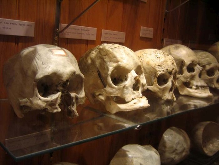 This Museum Is Like A Nightmare Come To Life (16 pics)
