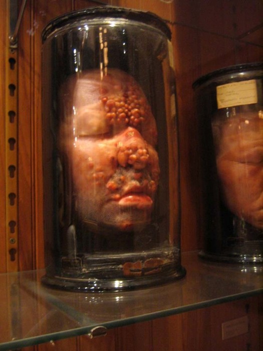 This Museum Is Like A Nightmare Come To Life (16 pics)
