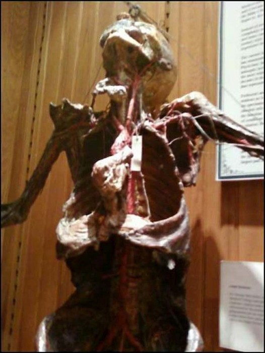 This Museum Is Like A Nightmare Come To Life (16 pics)