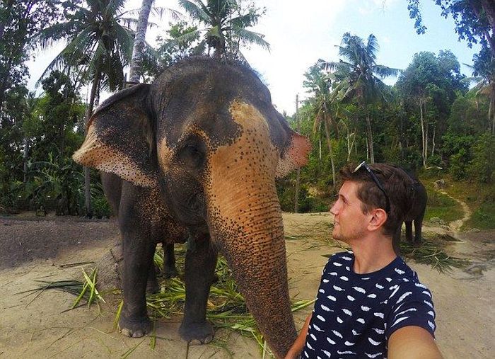 Meet The Elephant That Loves Taking Selfies (4 pics)