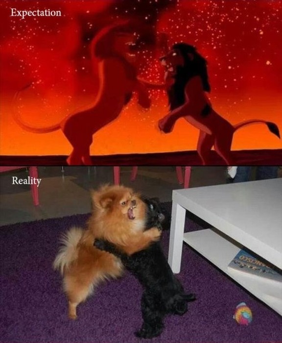 28 Funny And True Examples Of Expectation Vs Reality (28 pics)