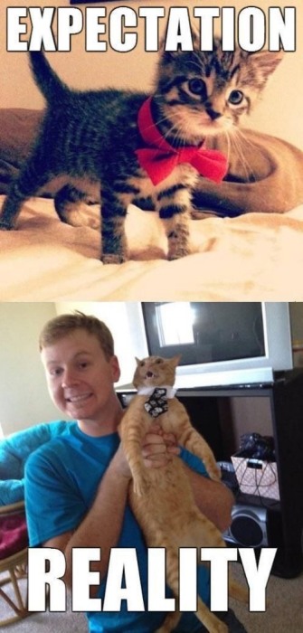 28 Funny And True Examples Of Expectation Vs Reality (28 pics)