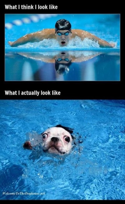 28 Funny And True Examples Of Expectation Vs Reality (28 pics)