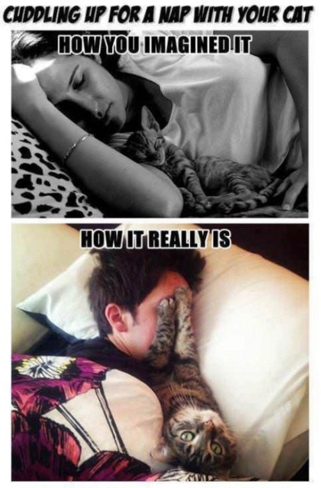28 Funny And True Examples Of Expectation Vs Reality (28 pics)