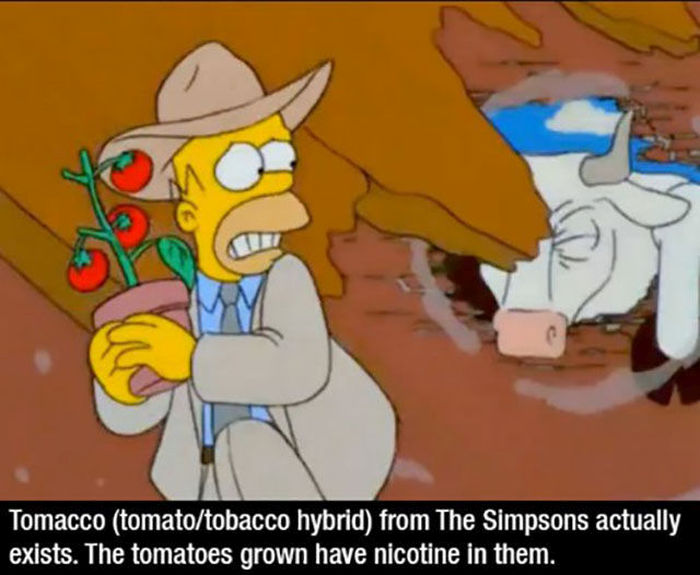 Fun And Interesting Facts You Probably Don't Know About The Simpsons (15 pics)