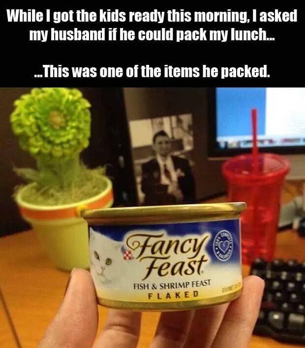Husbands Who Do What They Want (20 pics)
