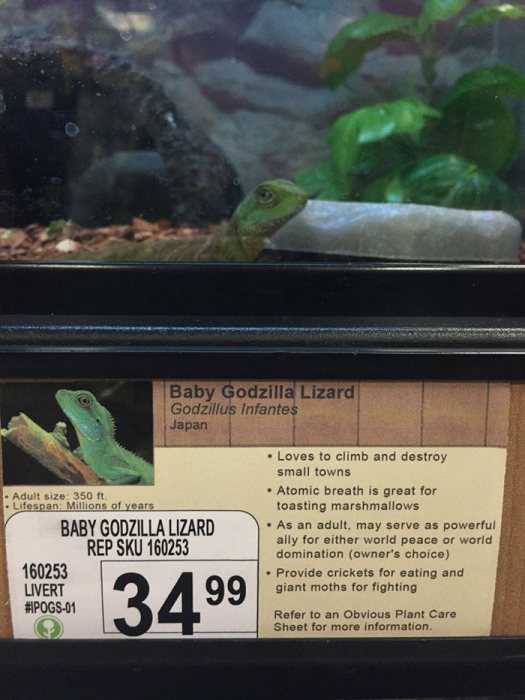 Local Pet Store Gets Hilarious New Labels With New Pet Names (8 pics)