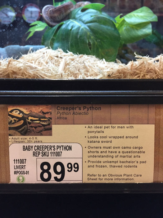 Local Pet Store Gets Hilarious New Labels With New Pet Names (8 pics)
