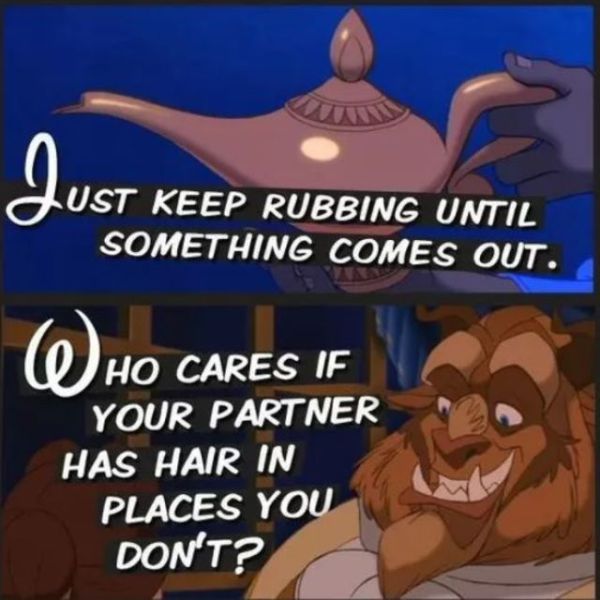 10 Things Disney Movies Taught Us About Sex (5 pics)