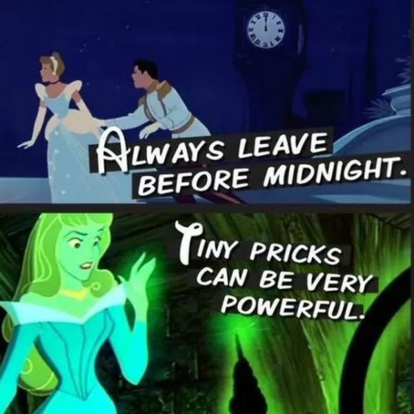 10 Things Disney Movies Taught Us About Sex (5 pics)