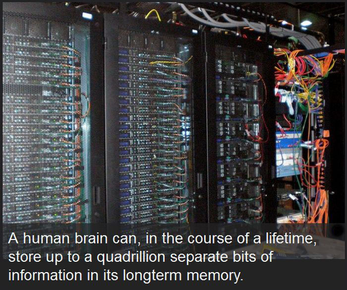 These Facts About The Human Race Might Surprise You (18 pics)