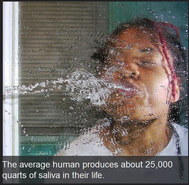 These Facts About The Human Race Might Surprise You (18 pics)
