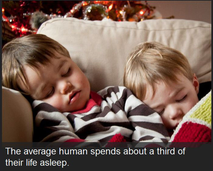 These Facts About The Human Race Might Surprise You (18 pics)