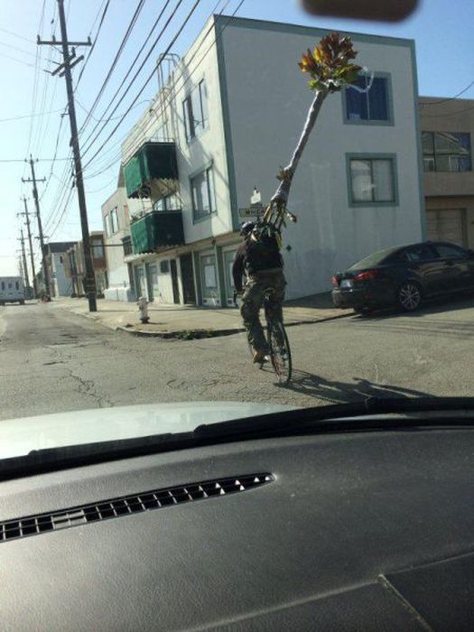 There's No Way To Explain What's Going On Here  (40 pics)