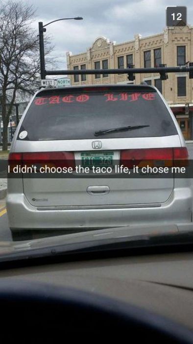 There's No Way To Explain What's Going On Here  (40 pics)