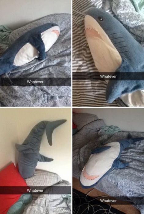 There's No Way To Explain What's Going On Here  (40 pics)