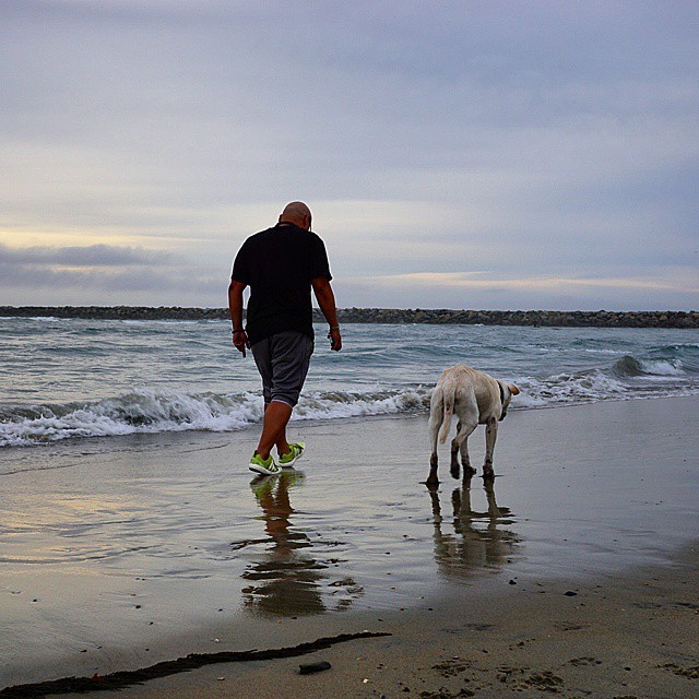 Owner Takes Terminally Ill Dog On A Road Trip (12 pics)