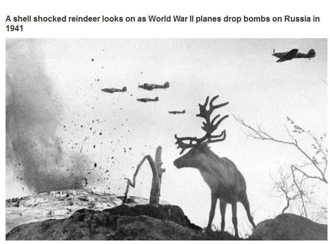 Photos That Captured Amazing Moments In History (22 pics)