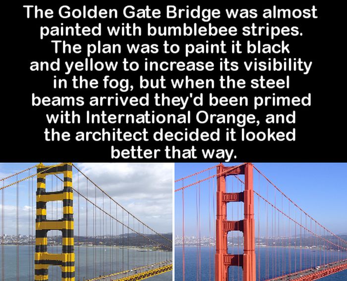 Impress Your Friends With These Fun And Interesting Facts (23 pics)