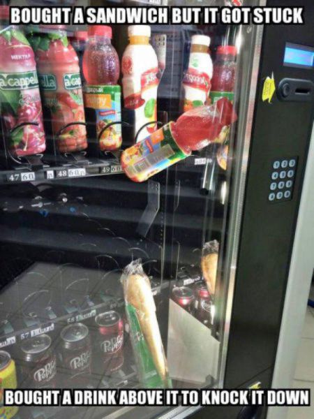 These Photos Prove That The Struggle Is Real (49 pics)