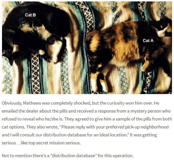 Mysterious Dealers Are Now Selling Cat Hair Pills (4 pics)
