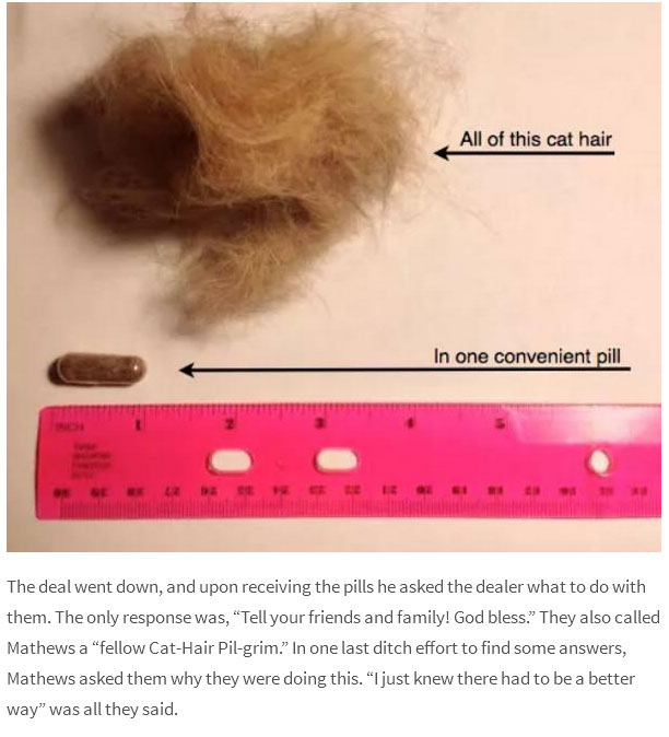 Mysterious Dealers Are Now Selling Cat Hair Pills (4 pics)