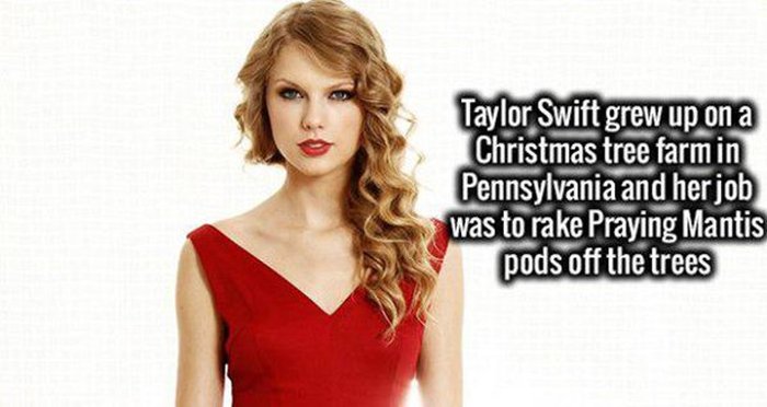 These Facts Will Help You Impress Everyone You Know (33 pics)