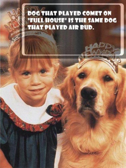 These Facts Will Help You Impress Everyone You Know (33 pics)