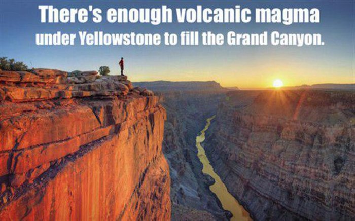 These Facts Will Help You Impress Everyone You Know (33 pics)