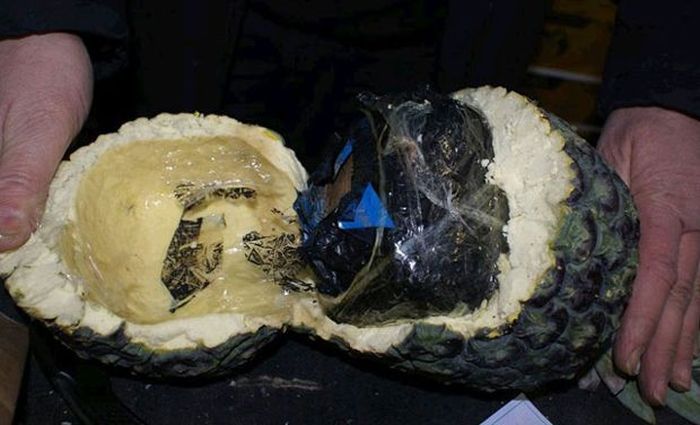 Spanish Police Recently Seized A Massive Stash Of Cocaine Stuffed Pineapples (3 pics)