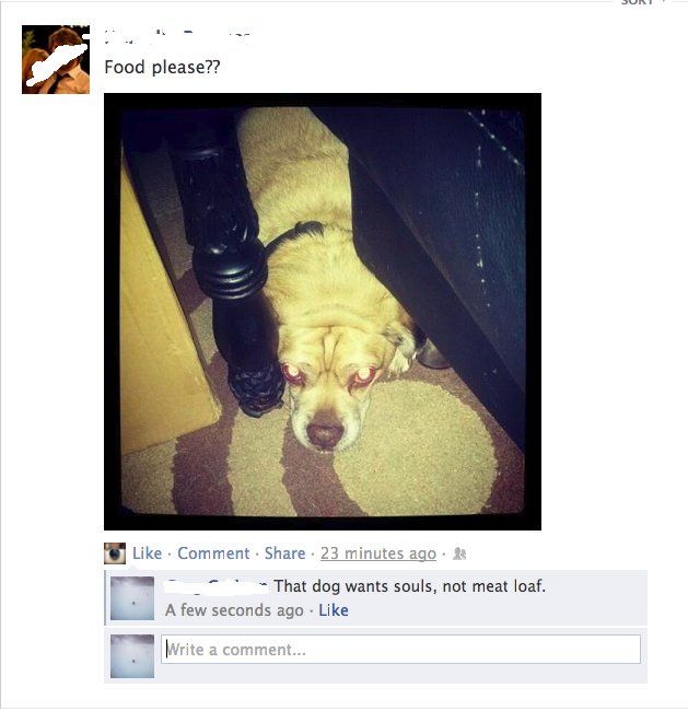 Funny Facebook Photo Comments That Will Make You LOL (20 pics)