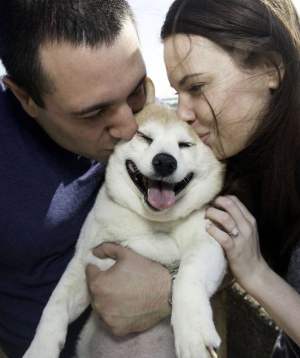 Cinnamon Is The World's Happiest Dog, She's Always Smiling (9 pics)