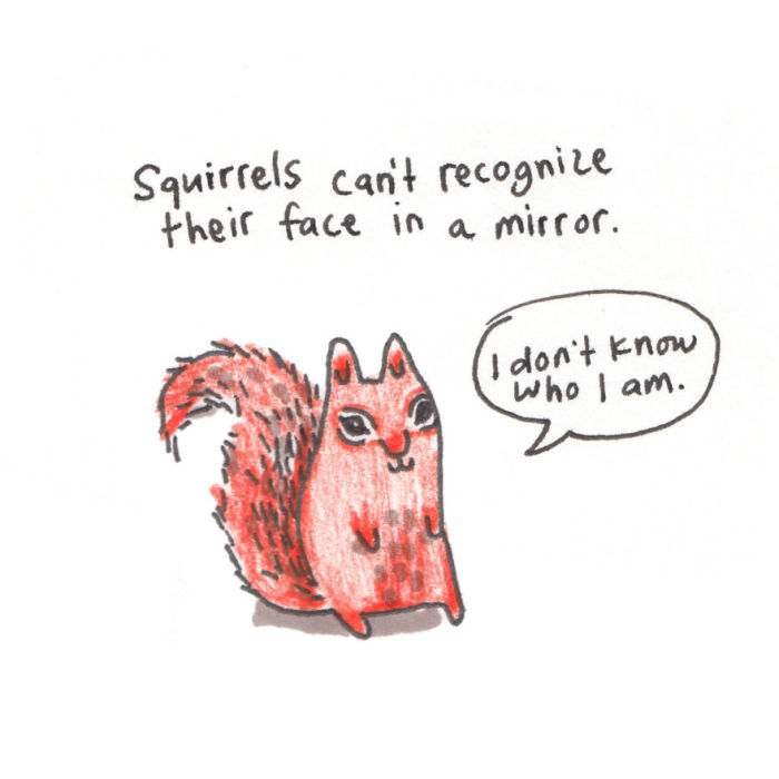 Sad Animal Facts Are Actually Kind Of Adorable (54 pics)