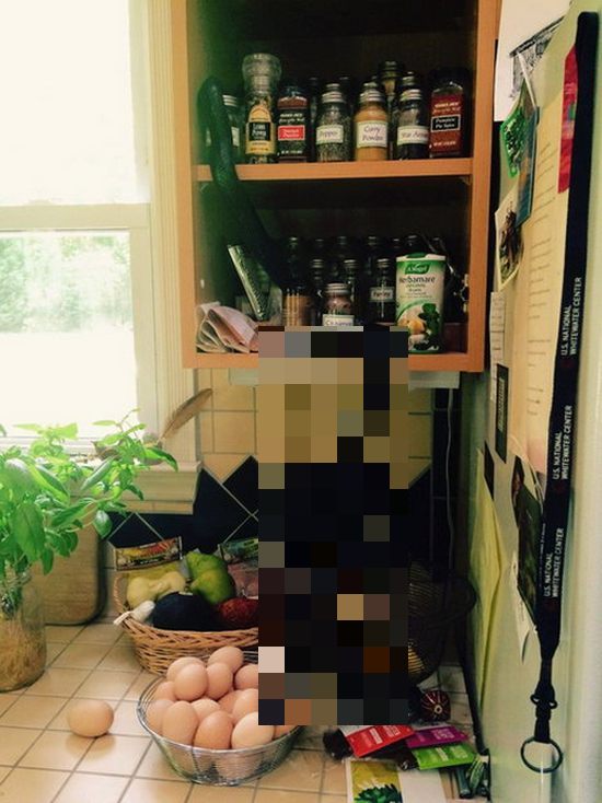 These People Found Something Terrifying In Their Kitchen (3 pics)