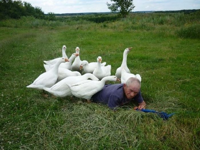 Acid Picdump (96 pics)