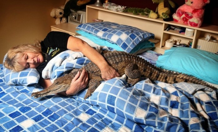 Meet The Woman Who Keeps A Crocodile As A Pet (4 pics)