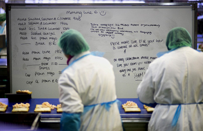 Britain's Biggest Sandwich Factory Makes Three Million Sandwiches A Week (21 pics)