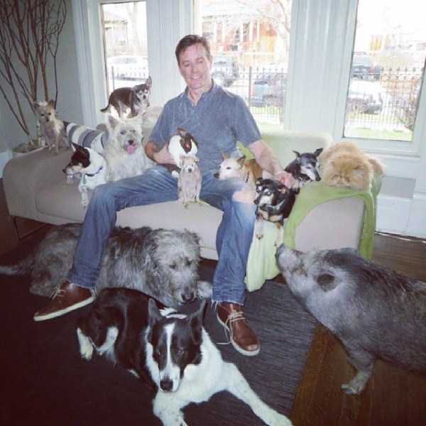 Meet The Man That Turned His House Into An Animal Shelter (30 pics)