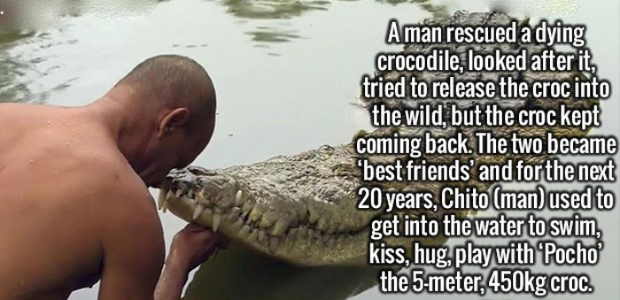 Time To Load Up Your Brain With More Random Facts (20 pics)