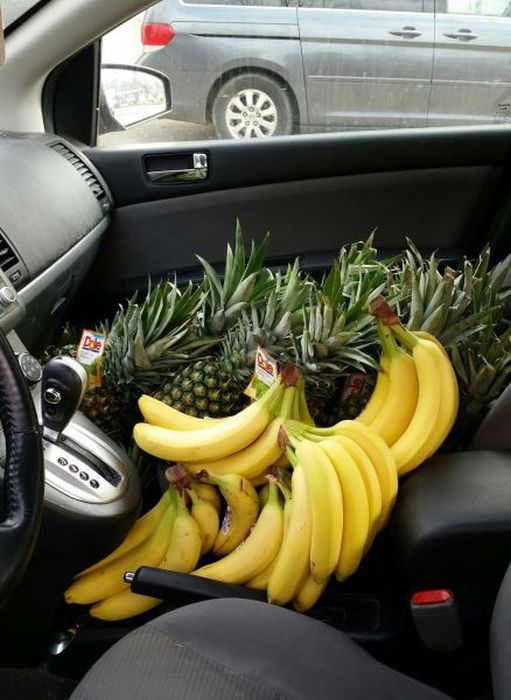 Acid Picdump (94 pics)