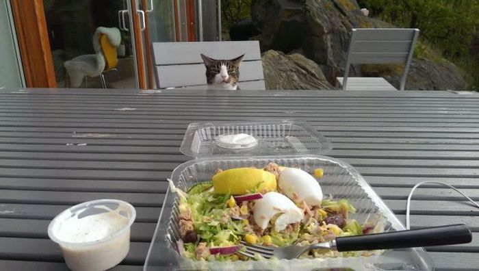 Acid Picdump (94 pics)