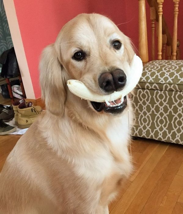 Acid Picdump (94 pics)