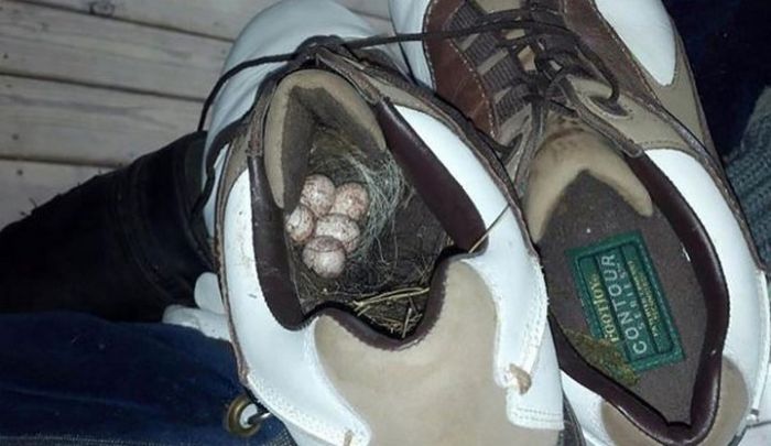 Acid Picdump (94 pics)