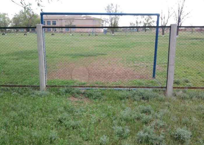 Acid Picdump (94 pics)