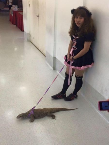 Acid Picdump (94 pics)